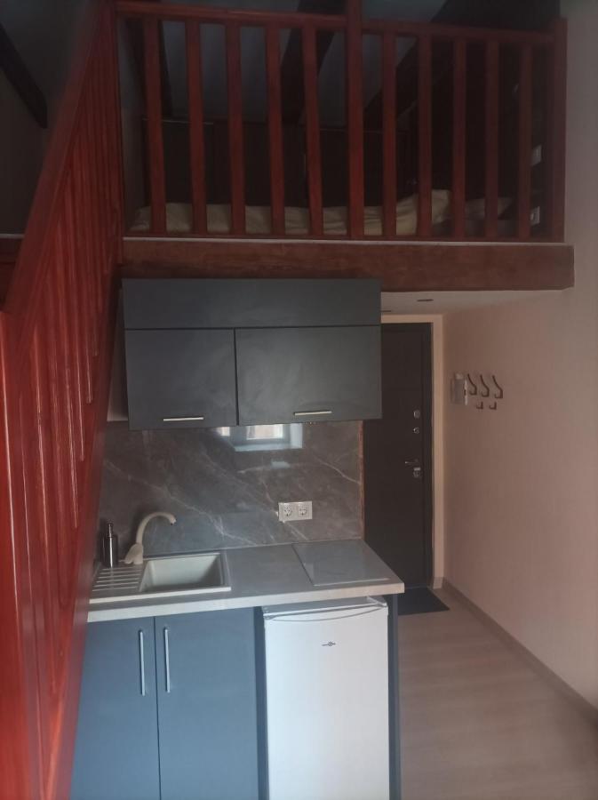 Chorni Vivtsy Apartment