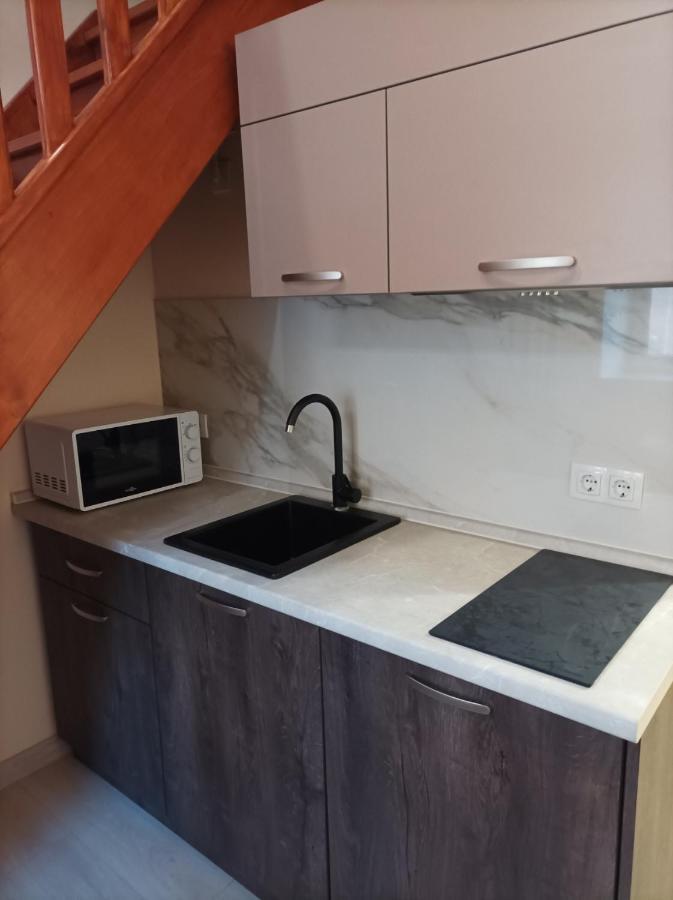 Apartment Chorni Vivtsy