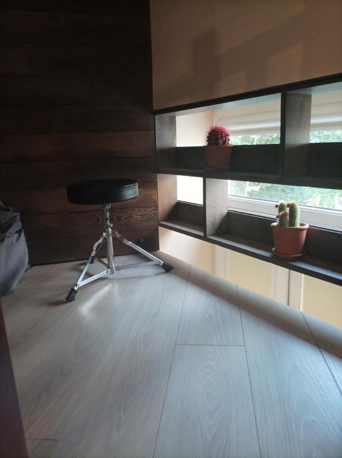 Apartment Chorni Vivtsy *